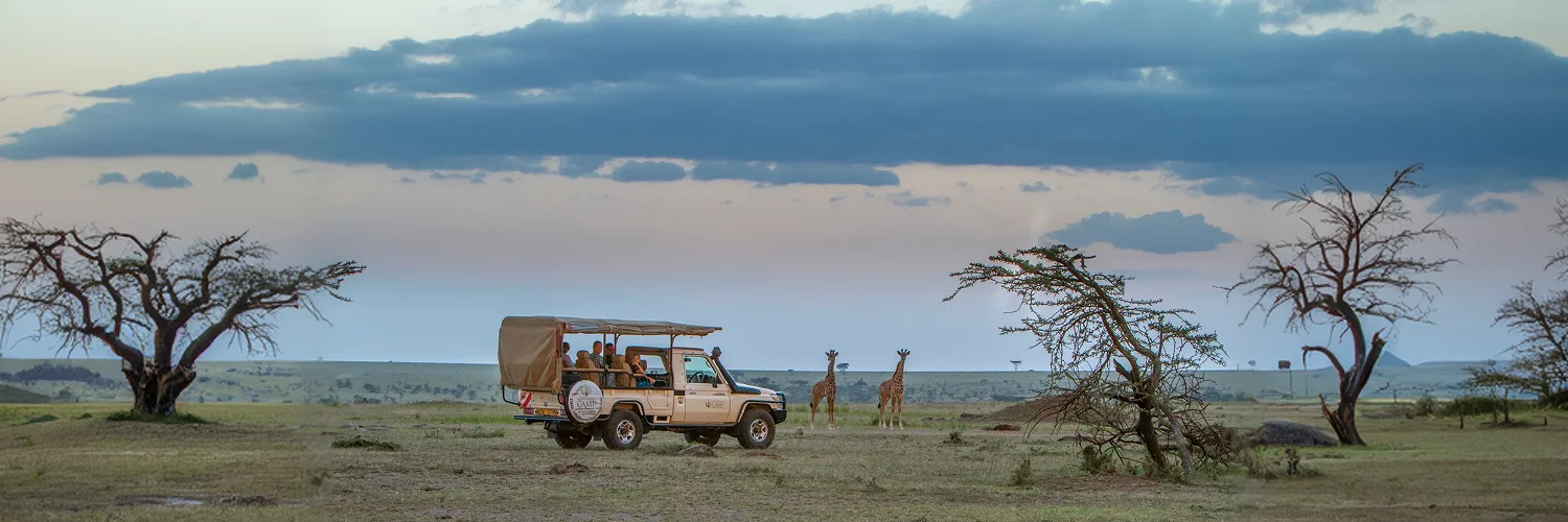 package hotel listing